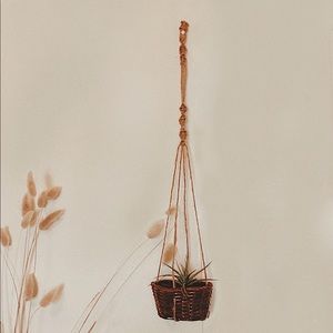 Boho Wall Art-Macrame Hanging Basket + Plant